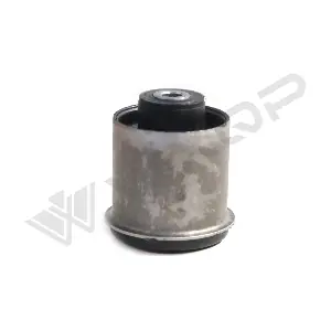 580589 WXQP