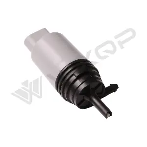 250269 WXQP
