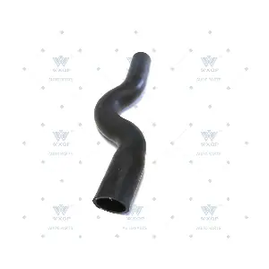 352315 WXQP