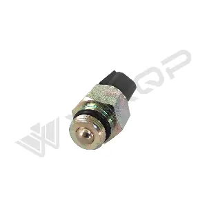 650233 WXQP