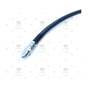580843 WXQP