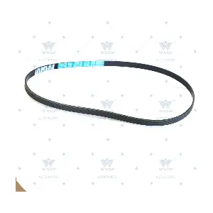 13119 WXQP