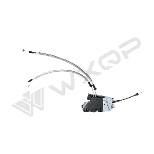 770847 WXQP