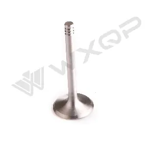314029 WXQP