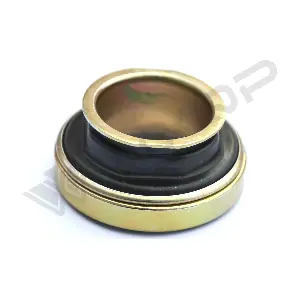 540267 WXQP