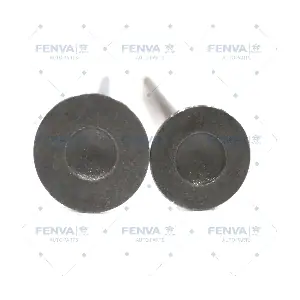 560317 WXQP