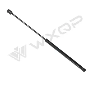 570009 WXQP