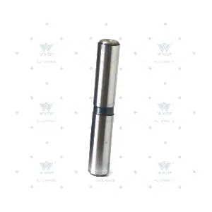 162455 WXQP