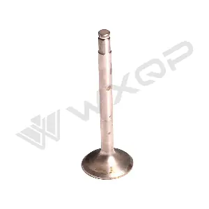 111749 WXQP