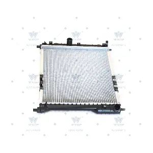 520893 WXQP