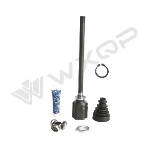 61156 WXQP