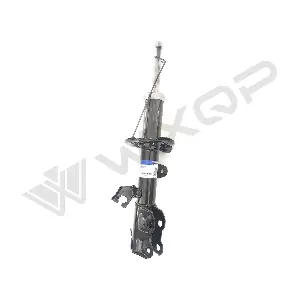 55985 WXQP