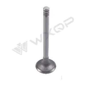 610065 WXQP