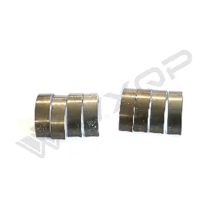 513155 WXQP