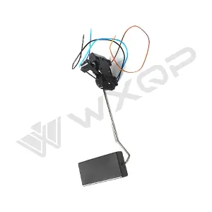 330391 WXQP