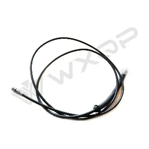 550509 WXQP
