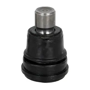 TEBO 600153