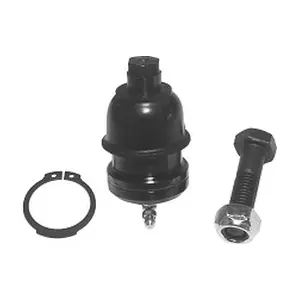 TEBO 600162