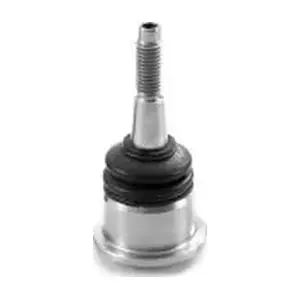 TEBO 600185
