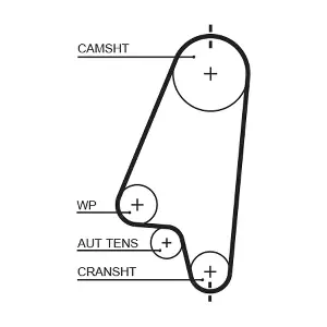 T203 GATES-MX