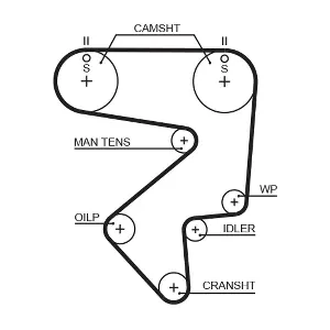 T125 GATES-MX
