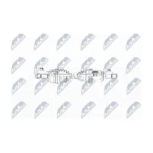 NTY NPW-AR-006