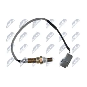 ESL-MS-013 NTY