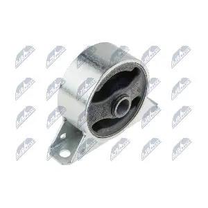 ZPS-MS-004 NTY