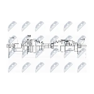 NPW-RE-052 NTY
