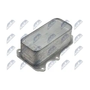 NTY CCL-CH-017