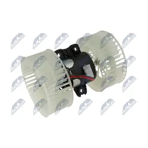EWN-ME-008 NTY