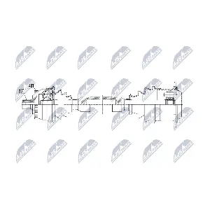 NPW-AU-059 NTY