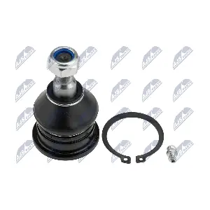 ZSD-MS-028 NTY