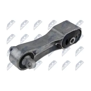 ZPS-BM-011 NTY