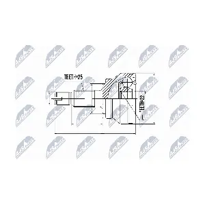 NPZ-RV-001 NTY
