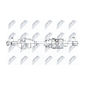 NPW-MZ-078 NTY