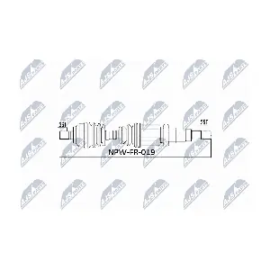NTY NPW-FR-019