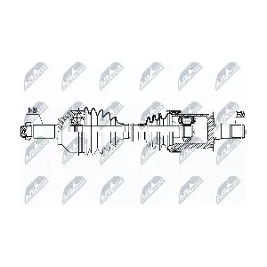 NTY NPW-BM-161