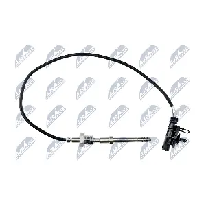 EGT-VV-004 NTY