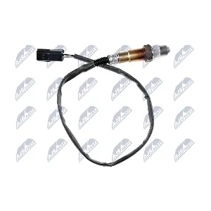 ESL-HY-518 NTY