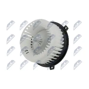 EWN-PL-004 NTY