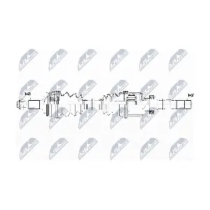 NPW-CT-091 NTY