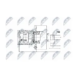 NTY NPW-NS-051