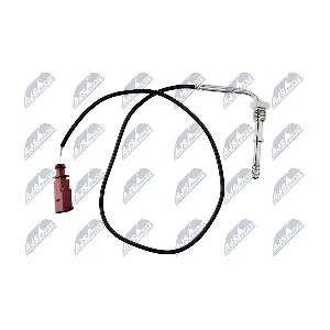 EGT-VW-066 NTY