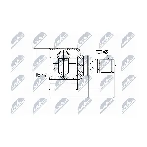 NTY NPW-NS-015