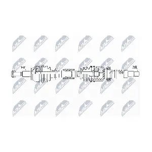 NPW-FR-113 NTY