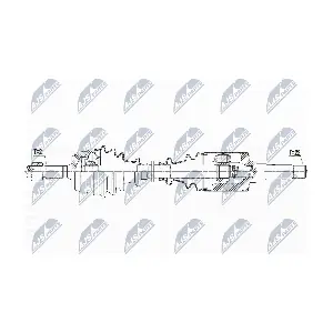 NPW-CT-067 NTY