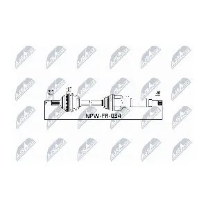 NPW-FR-034 NTY