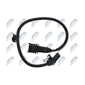 ECP-PL-019 NTY