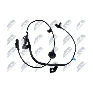 HCA-MS-022 NTY